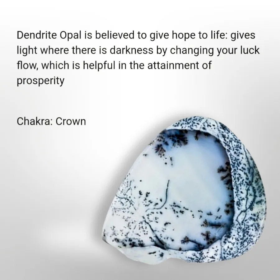 Dendrite Opal - Necklace